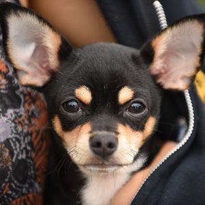 Meet your Posher, Sabrina